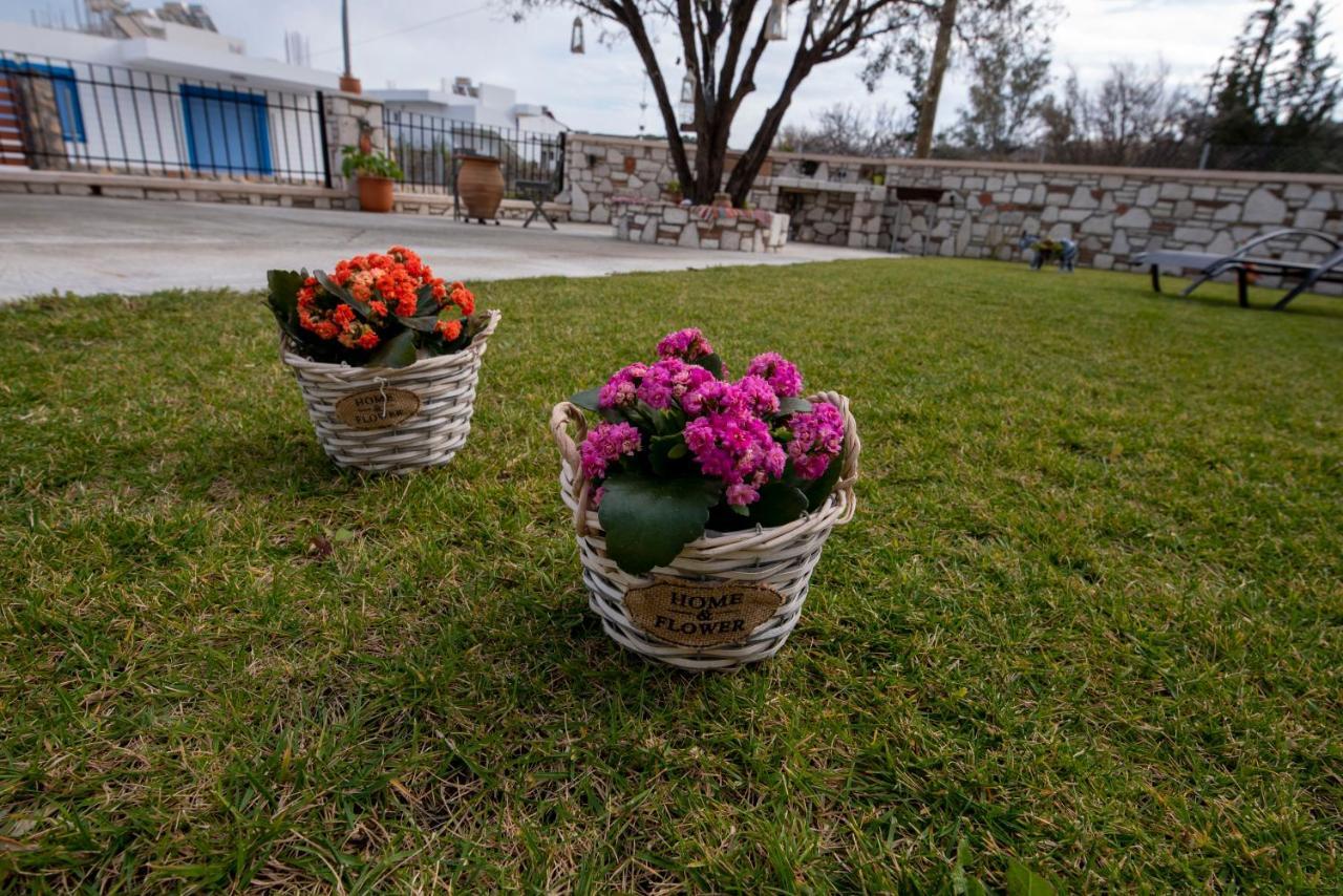 Searock Stegna Villa Archangelos  Exterior foto