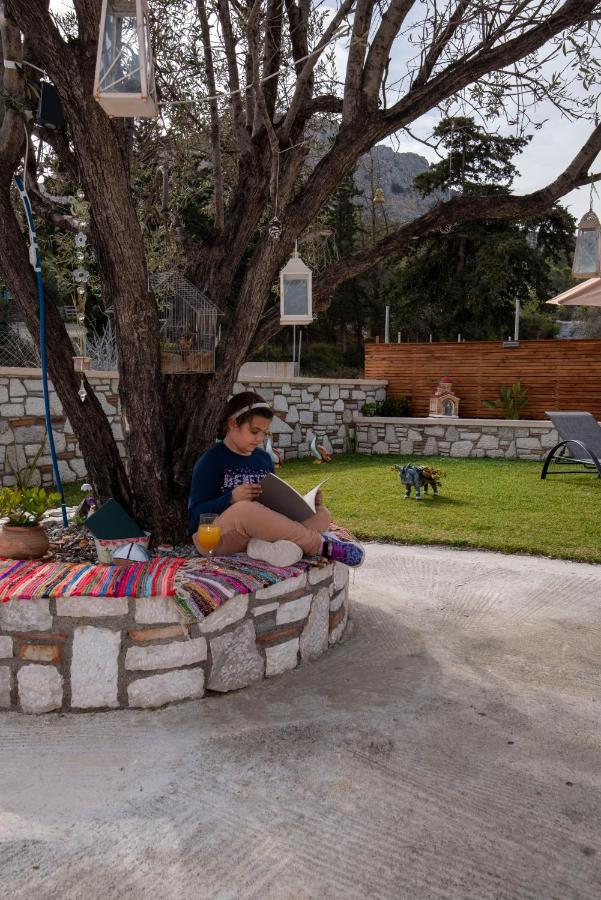 Searock Stegna Villa Archangelos  Exterior foto